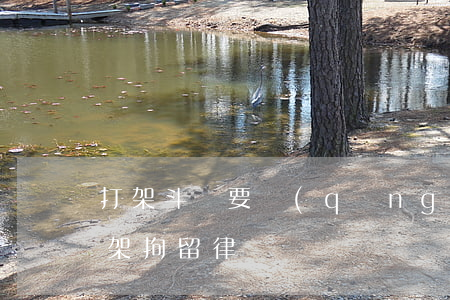 打架斗毆要請(qǐng)哪方面的律師?(打架拘留律師)