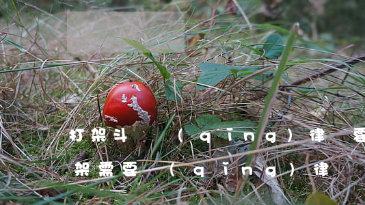 打架斗毆請(qǐng)律師要花多少錢(打架需要請(qǐng)律師嗎)