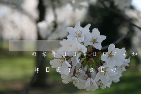 打架斗毆請律師打官司如何收費，打架打官司律師是怎么收費的