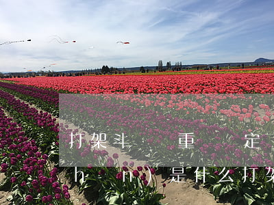 打架斗毆輕重傷鑒定標(biāo)準(zhǔn)是什么（打架斗毆應(yīng)該如何處罰）
