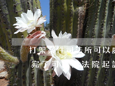 打架案件司法所可以處理嗎(打架派出所處理完了,可以向法院起訴嗎)