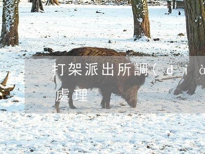 打架派出所調(diào)解后再起訴怎么處理