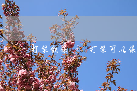 打架能保釋嗎(打架可以保釋出來嗎)