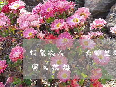 打架致人輕傷去哪里起訴(打架之人輕微傷拘留又被起訴)