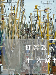 打架致人輕傷去哪里起訴(打架致人輕傷屬于什么案件)