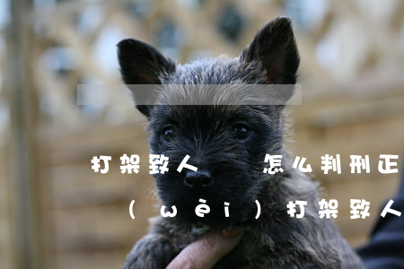 打架致人輕傷怎么判刑(正當(dāng)防衛(wèi)打架致人輕傷怎么判刑)