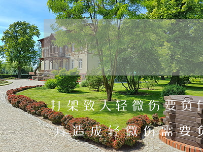 打架致人轻微伤要负什么责任(打架斗殴给对方造成轻微伤需要负什么责任)