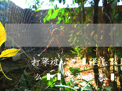 打架被公司辭退怎么賠償(打架被公司辭退怎么賠償去那里咨詢)