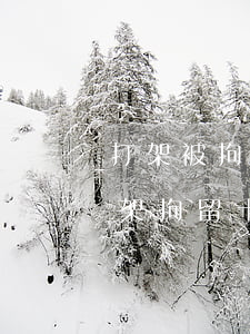 打架被拘留十天可以保出來(lái)嗎(打架拘留十五天可能會(huì)提前釋放嗎)