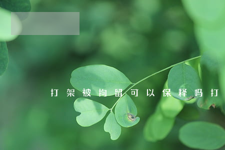 打架被拘留可以保释吗(打架拘留能不能保释)
