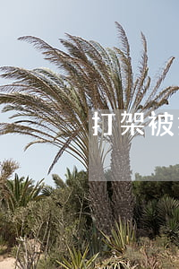 打架被拘留可以保釋嗎(打架拘留能不能保釋)