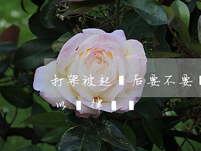 打架被起訴后要不要請律師(打架進派出所可以請律師嗎)