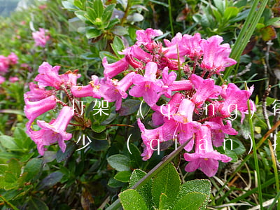 打架請(qǐng)律師費(fèi)用多少錢(qián)(打架賠償起訴律師費(fèi)誰(shuí)承擔(dān))