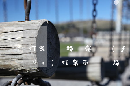 打架賠償起訴律師費(fèi)誰承擔(dān)(打架不賠償起訴律師費(fèi)誰出)