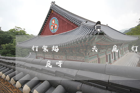 打架起訴會當天開庭嗎(打架起訴法院多久會開庭呀?)