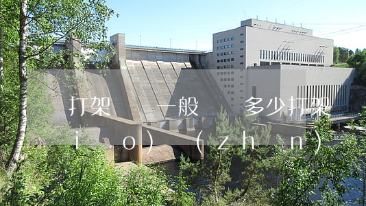 打架輕傷一般賠償多少(打架輕傷賠償標(biāo)準(zhǔn))