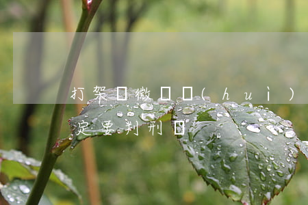打架輕微傷會(huì)判刑嗎(打架輕傷一定要判刑嗎)
