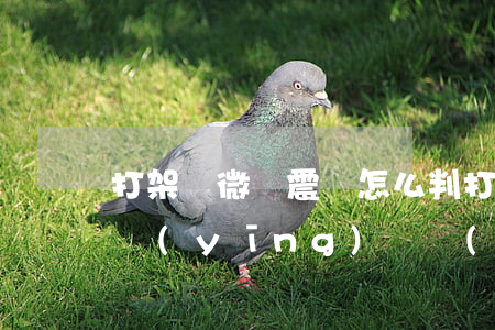 打架輕微腦震蕩怎么判(打架造成輕微腦震蕩應(yīng)該負(fù)什么責(zé)任)