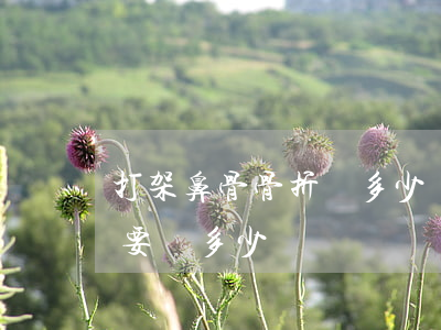 打架鼻骨骨折賠多少錢(打架斗毆鼻子骨折需要賠多少錢)