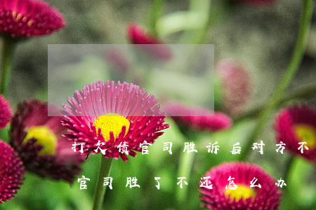 打欠债官司胜诉后对方不执行怎么办（欠钱打官司胜了不还怎么办）