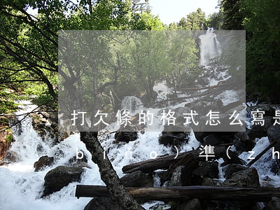打欠條的格式怎么寫是正確的(打欠條的標(biāo)準(zhǔn)格式)