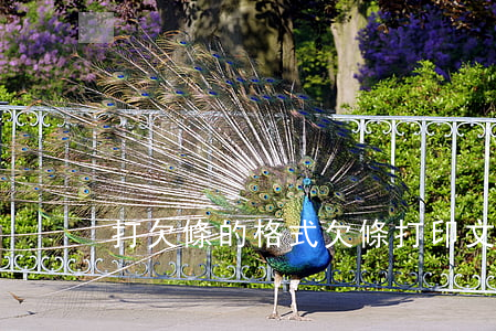 打欠條的格式(欠條打印文本)