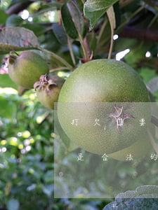打欠條要注意什么怎么打欠條(咋樣打欠條才是合法的)