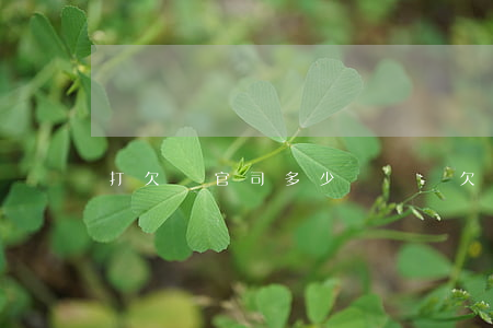 打欠錢官司多少訴訟費(欠款訴訟費一般多少錢)