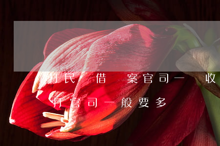 打民間借貸案官司一審收一次錢嗎(民間借貸打官司一般要多長時間)