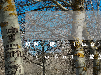 打游戲借貸無(wú)力償還(打游戲欠了5萬(wàn)貸款怎么辦)
