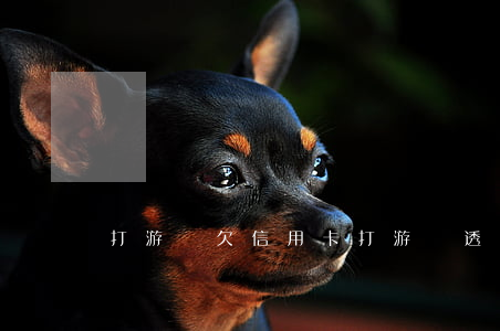 打游戲欠信用卡 打游戲透支信用卡