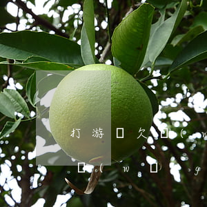打游戲欠網(wǎng)貸不還會怎么樣(借網(wǎng)貸玩游戲越來越多還不上)