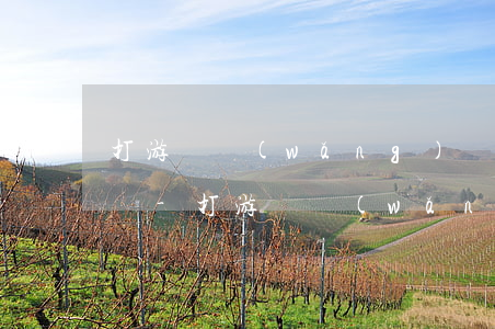 打游戲網(wǎng)貸欠了20萬該怎么辦-打游戲網(wǎng)貸欠了20萬該怎么辦呢