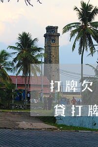 打牌欠了29萬(wàn)網(wǎng)貸(打牌欠了十幾萬(wàn))