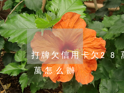 打牌欠信用卡欠28萬(打牌欠信用卡欠28萬怎么辦)