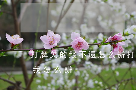 打牌欠的錢不還怎么辦(打牌欠我的錢不還給我,怎么辦)