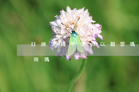 打牌欠錢不還可以報警嗎(打牌欠的錢報警有用嗎)