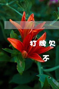 打牌欠錢不還的人怎么對付(朋友打牌輸了欠錢不給)