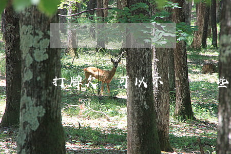 打牌欠錢可以不還嗎，這些你需要知道