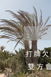 打牌欠錢被起訴到法院(打牌欠債還不了報警雙方會被拘留嗎)