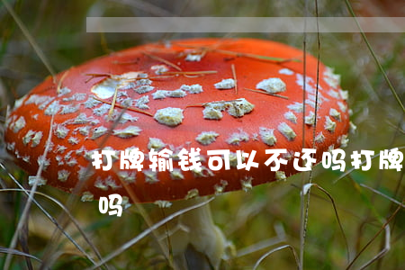 打牌输钱可以不还吗(打牌输钱欠账不还可以吗)