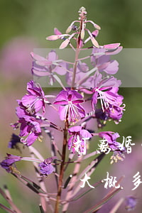 打离婚官司大概要多少钱(一场离婚官司下来大概多少钱)