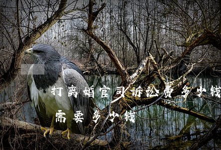 打离婚官司诉讼费多少钱(打离婚官司起诉费需要多少钱)