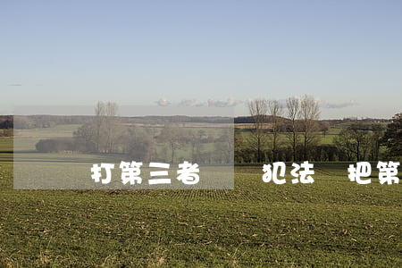 打第三者輕傷犯法嗎(把第三者打傷了怎么辦)