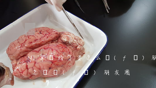 打算離婚了要怎么發(fā)朋友圈(離婚了怎樣發(fā)朋友圈)