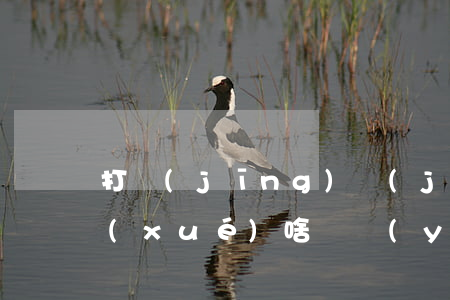 打經(jīng)濟(jì)官司的律師學(xué)啥專業(yè)(請問經(jīng)濟(jì)糾紛先找律師還是直接去法院)