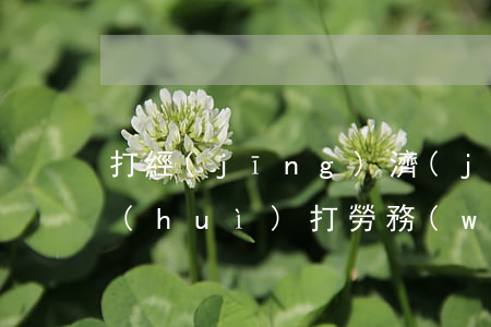 打經(jīng)濟(jì)官司的律師會(huì)打勞務(wù)官司嗎(打官司找律師嗎)