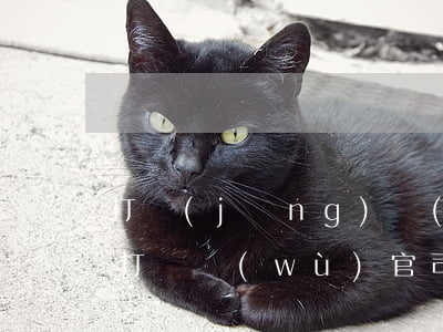 打經(jīng)濟(jì)官司的律師會打勞務(wù)官司嗎(勞務(wù)合同打官司怎么打)