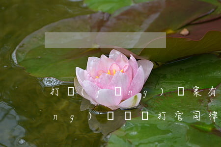 打經(jīng)濟案有名的律師(經(jīng)濟糾紛打官司律師費誰出)