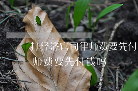 打经济官司律师费要先付钱吗(打经济官司律师费要先付钱吗)